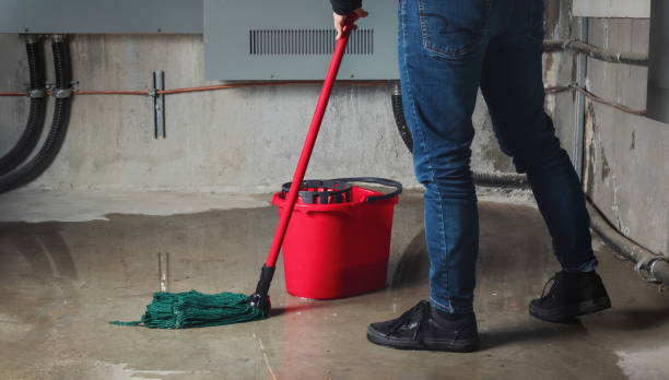 Best Flooded house restoration  in Martinez, GA